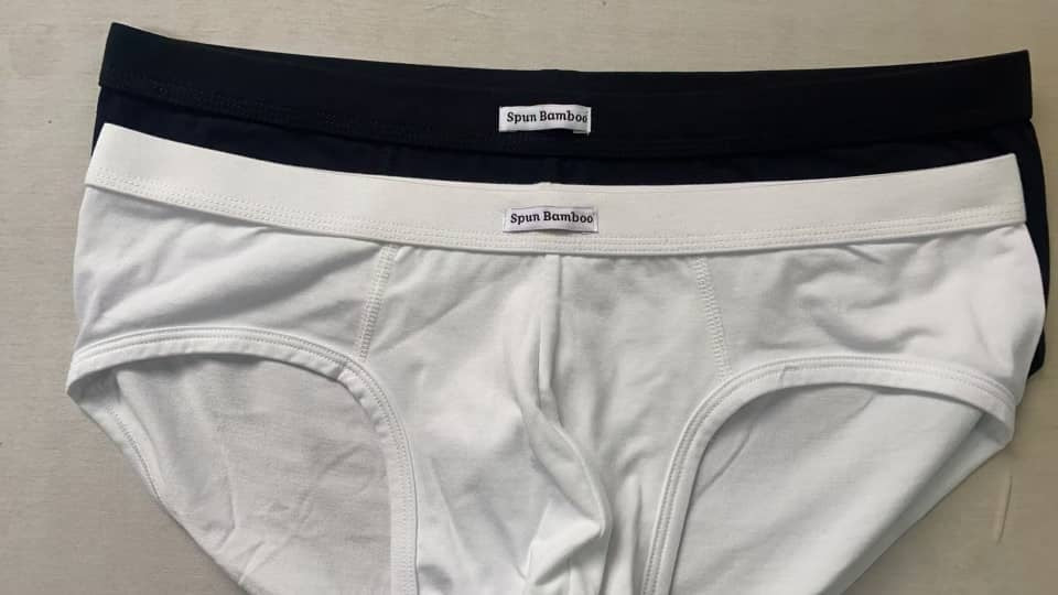 Men's Bamboo Viscose Briefs Underwear