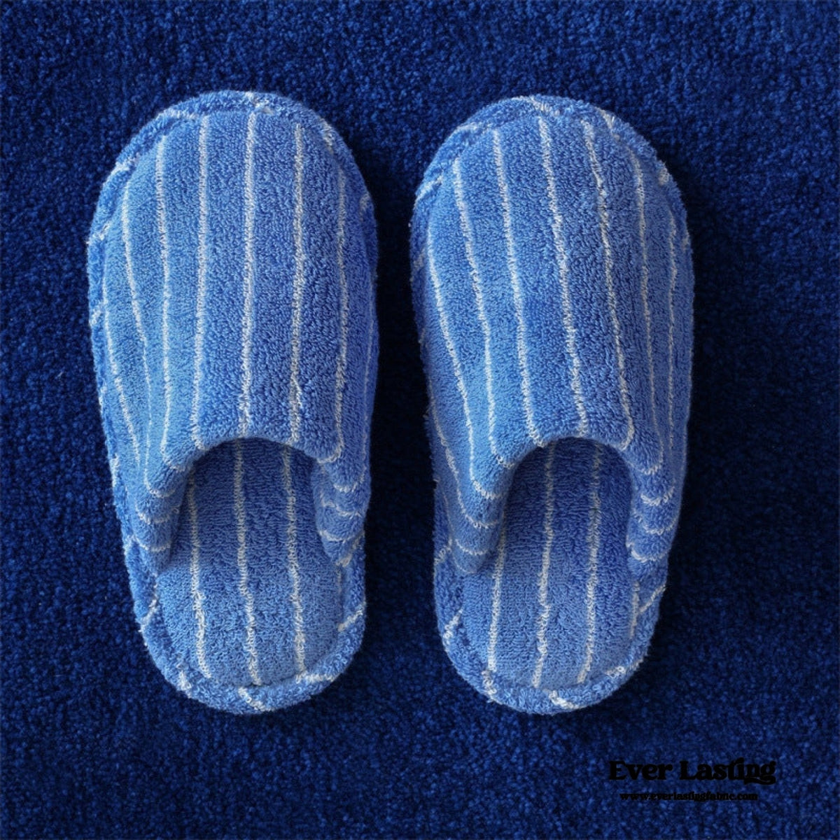 Thin Striped House Slippers / Blue